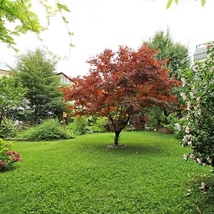 https://nigler-innsbruck-apartment.innsbruckaustriahotels.com