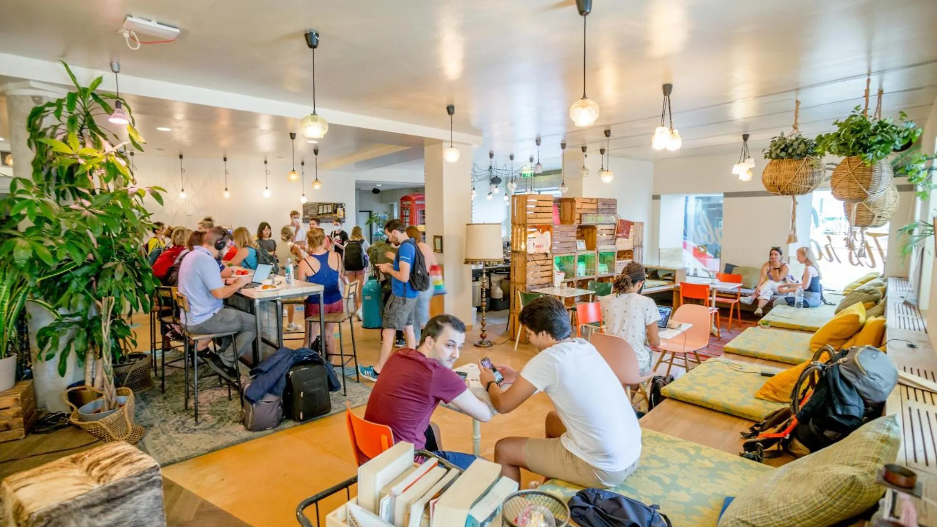 Wombat'S City Hostel Vienna Naschmarkt Avusturya